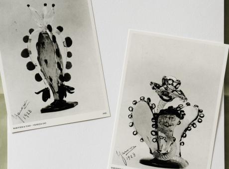 Credits: Studio Blanco