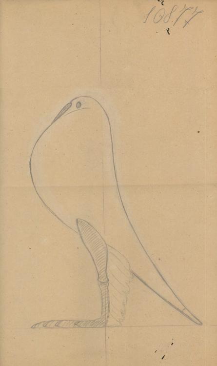 bt_piccione-primavera_disegno-archivio-storico