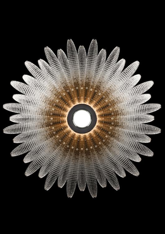 agave_7572_00_gq_cl_03-72dpi.jpg