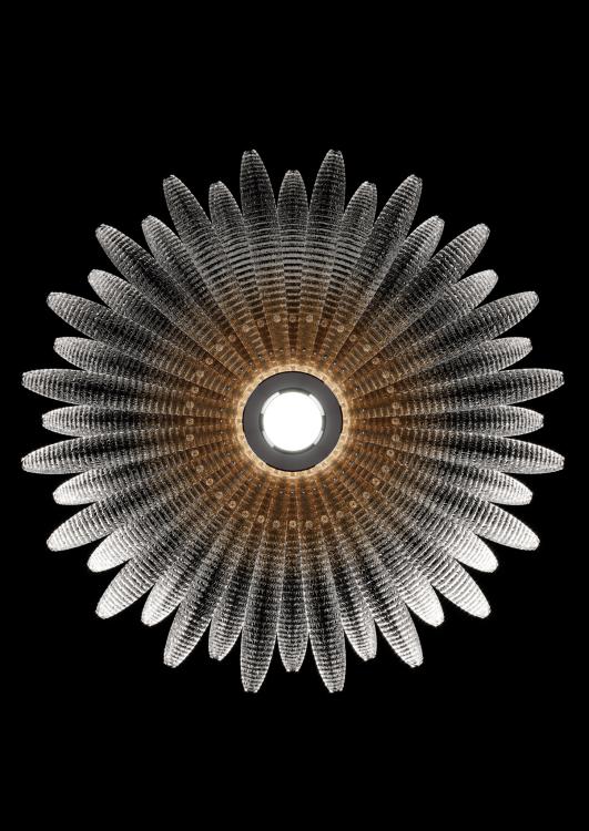 agave_7577_00_gq_cl_03-72dpi.jpg